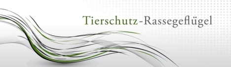 Banner Tierschutz-Rassegefluegel